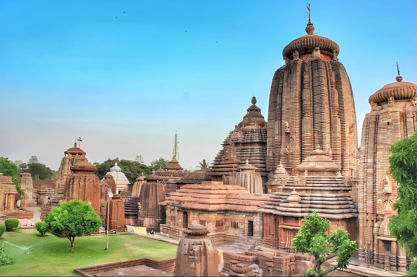 Diamond Triangle Tour Odisha
